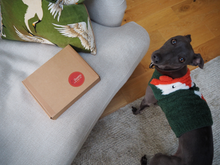 Load image into Gallery viewer, Personalised bone dog biscuits freeshipping - Queens of the Bone Age