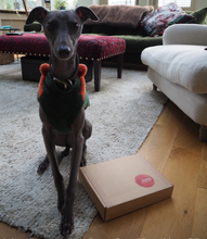 Load image into Gallery viewer, Dog birthday carob drizzle doughnuts and treats freeshipping - Queens of the Bone Age