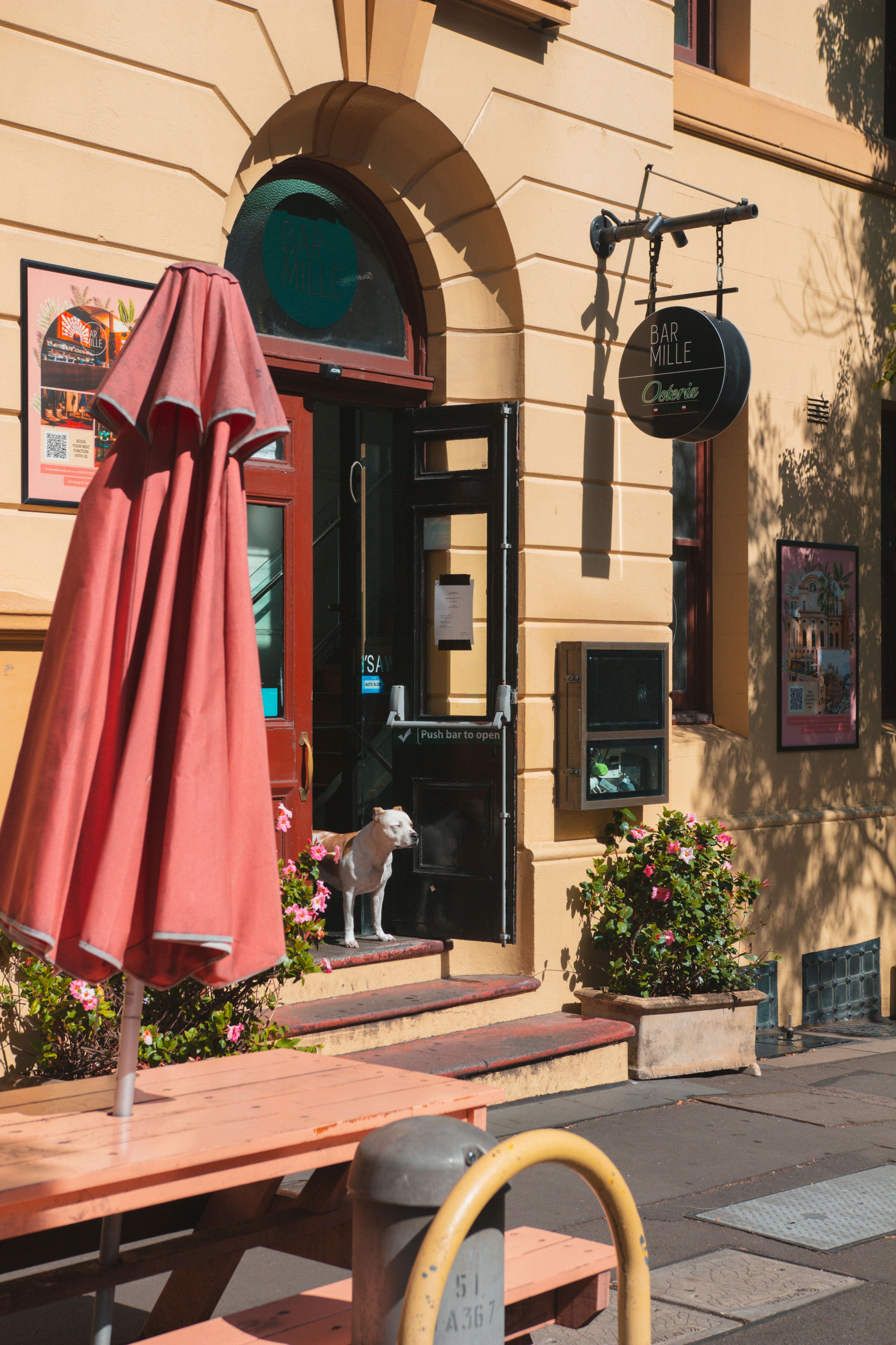 Boost Your Bar's Appeal 6 Ways to Attract Dog Owners PetFriendly